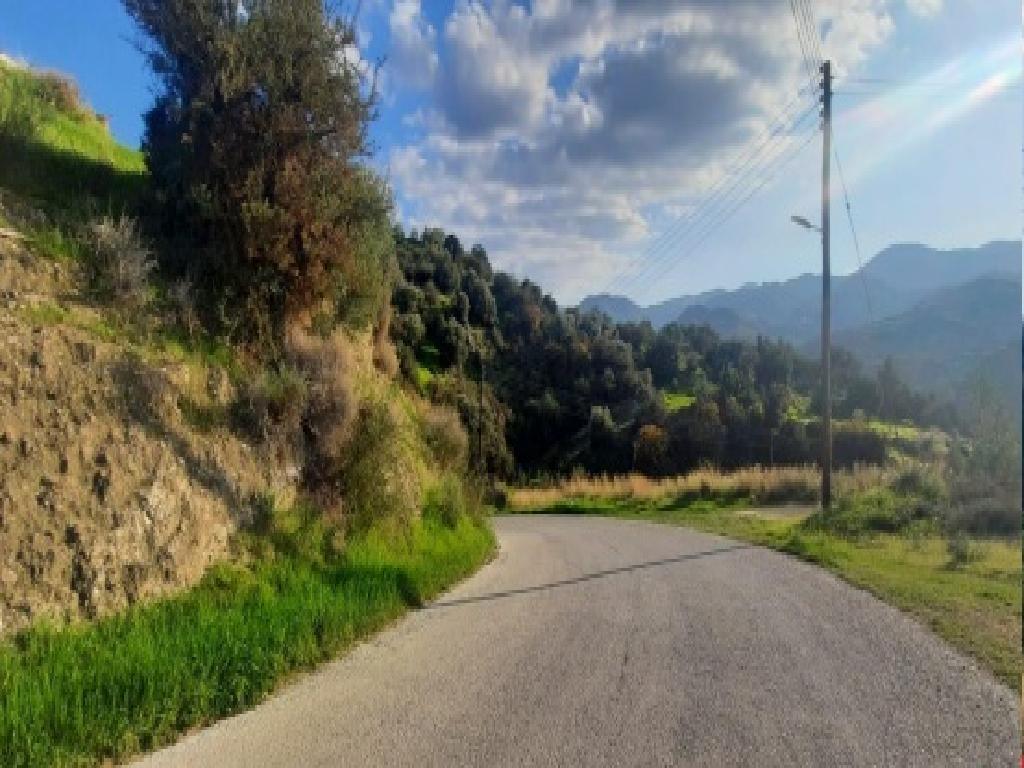 Fields - Kato Pyrgos, Nicosia-Kato Pyrgos
