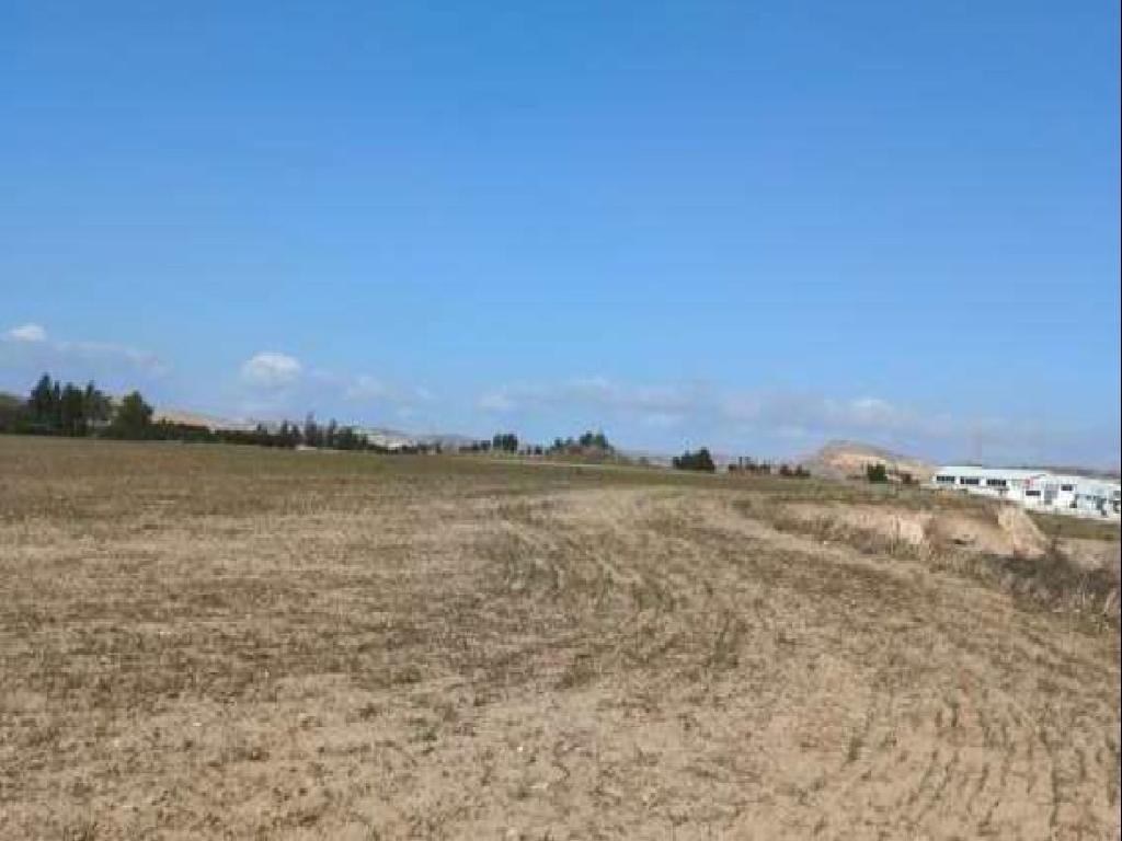 Χωράφια (Μερίδιο) - Αραδίππου, Λάρνακα