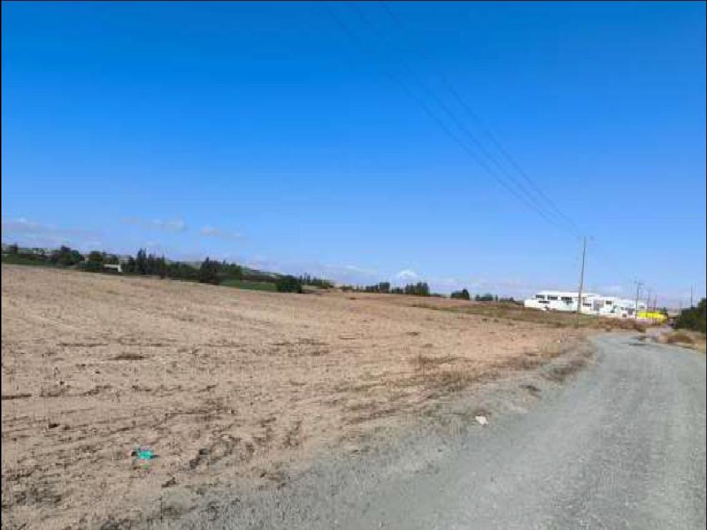 Χωράφια (Μερίδιο) - Αραδίππου, Λάρνακα