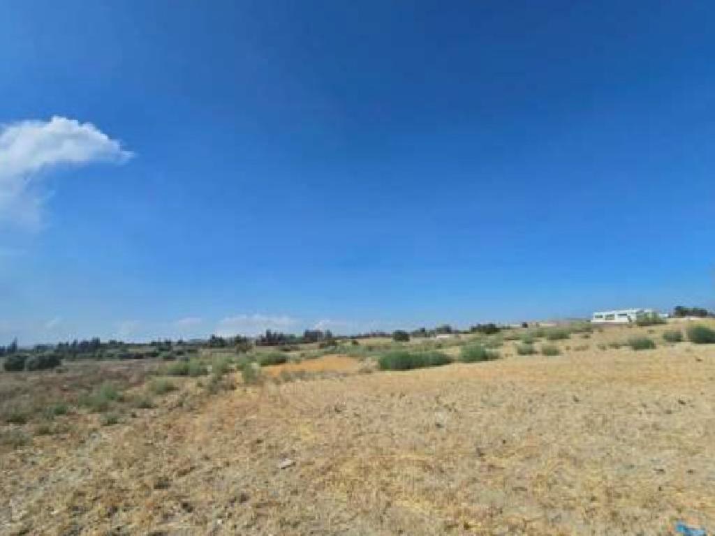 Χωράφια (Μερίδιο) - Αραδίππου, Λάρνακα