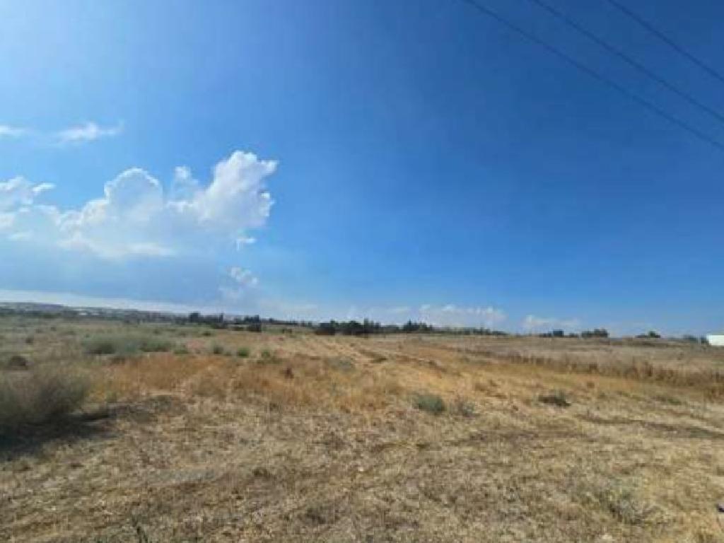 Χωράφια (Μερίδιο) - Αραδίππου, Λάρνακα