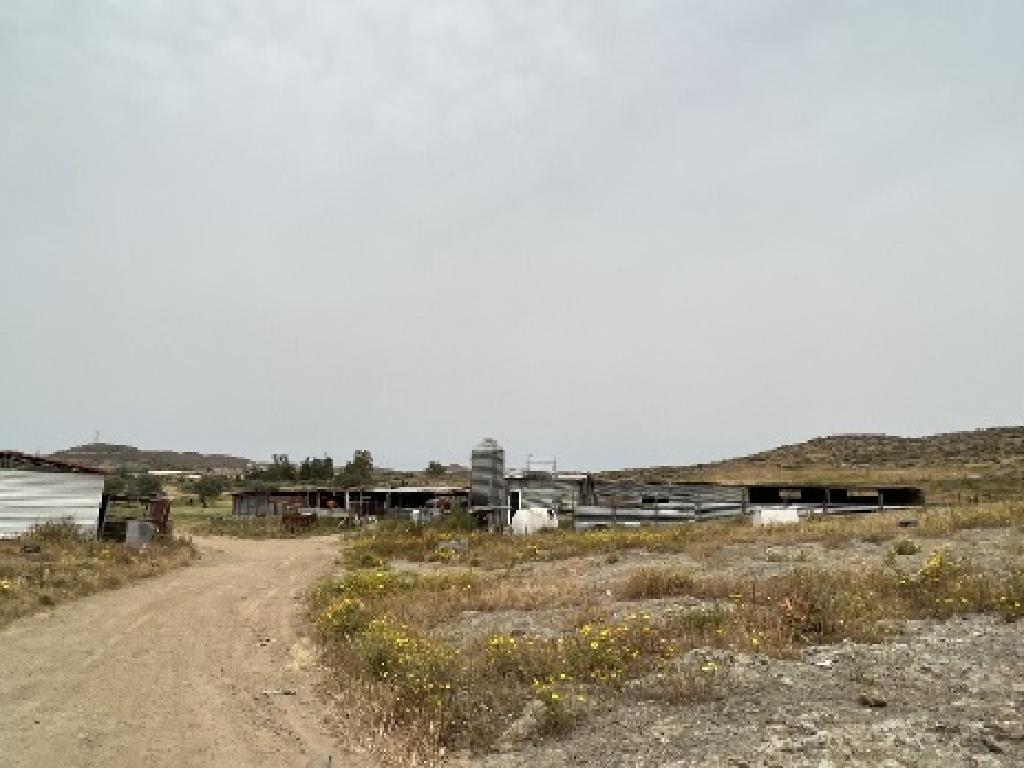 Χωράφι (μερίδιο) - Λυμπία, Λευκωσία