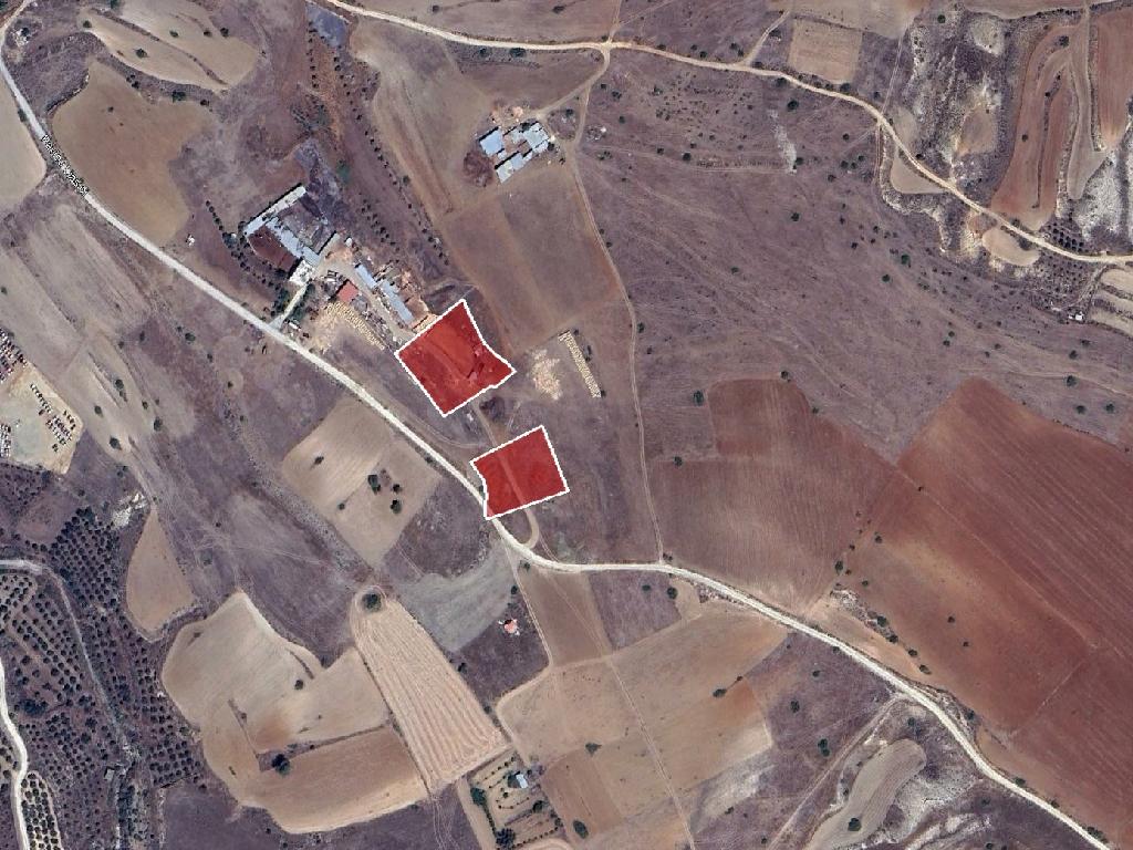Field - Potami, Nicosia