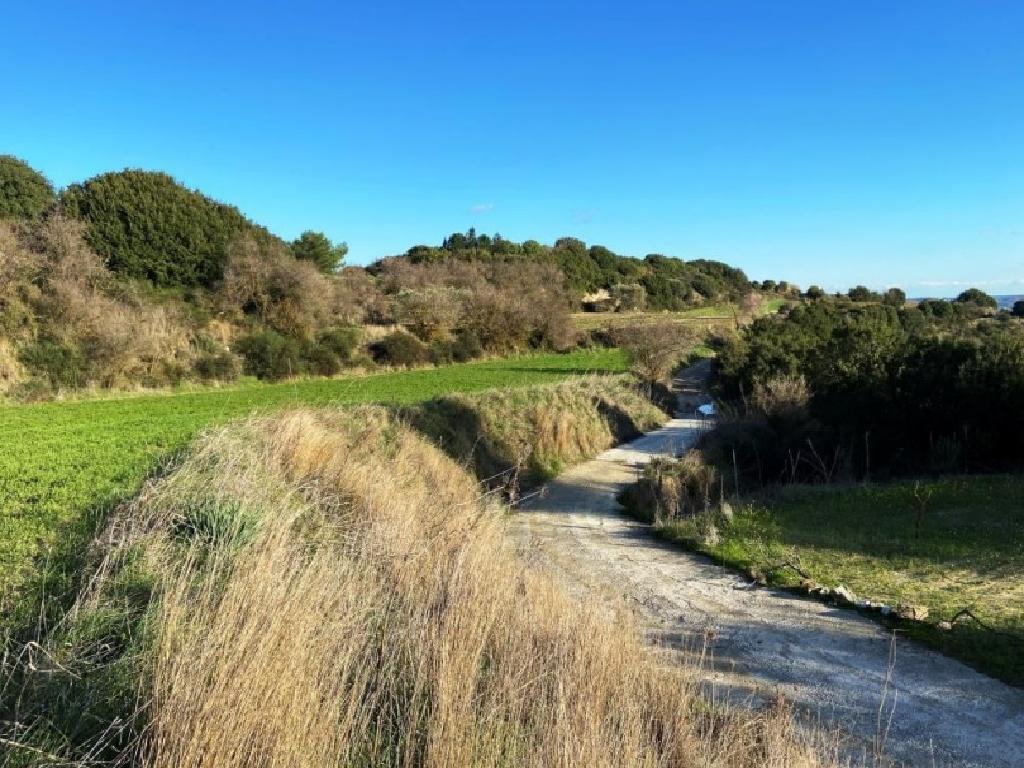 Field - Polemi, Paphos-Polemi