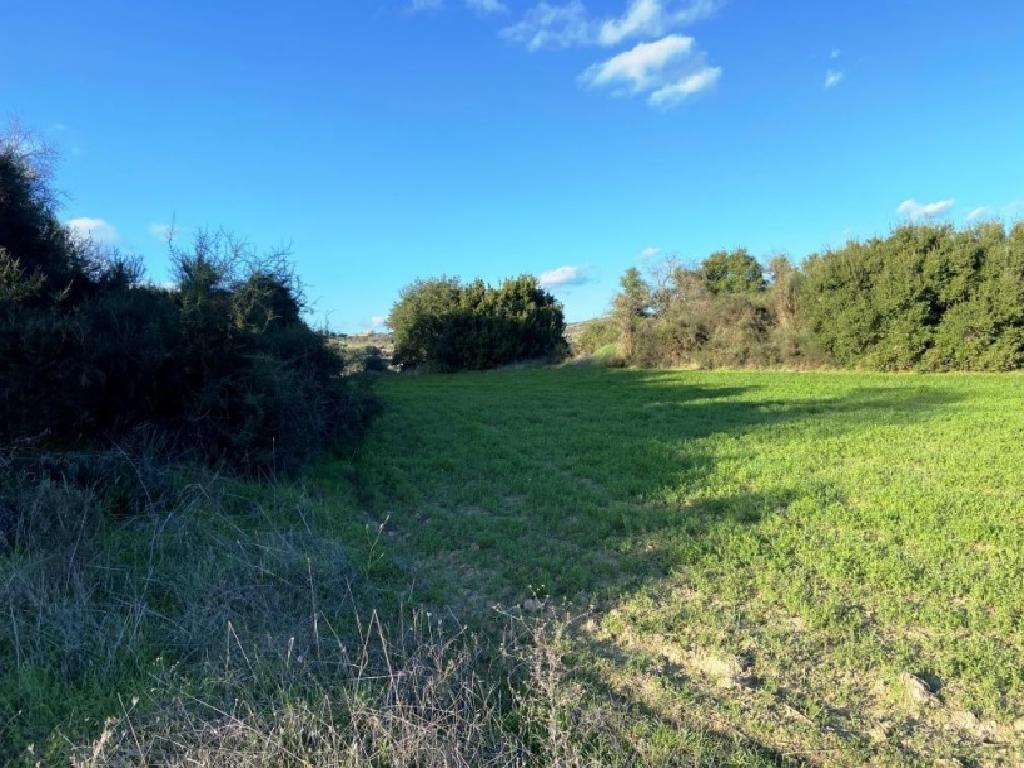 Field - Polemi, Paphos-Polemi