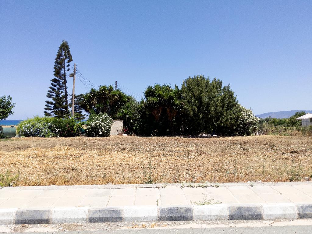 Plots - Poli Chrysochous, Paphos
