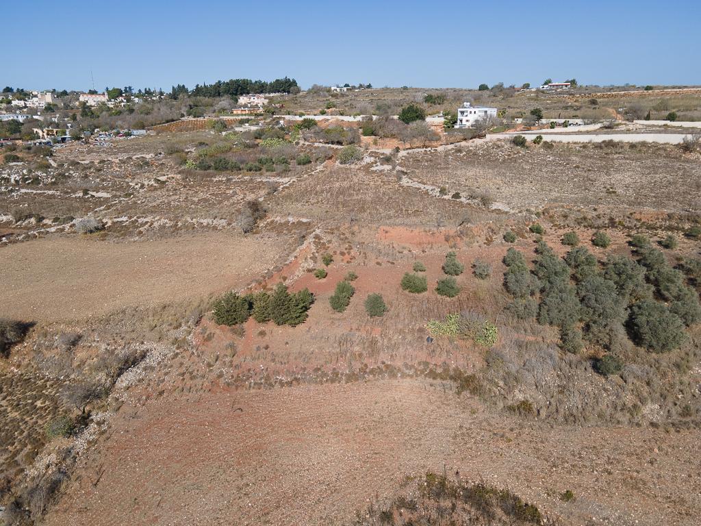 Field - Ineia, Paphos-Ineia