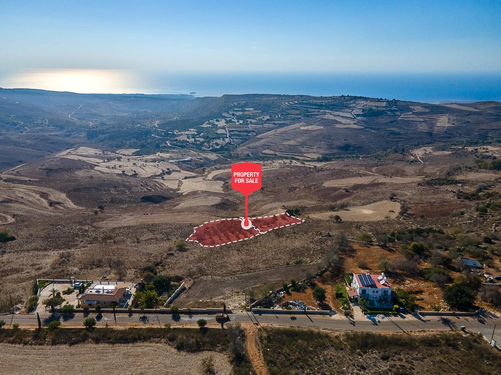 Field - Ineia, Paphos-Ineia