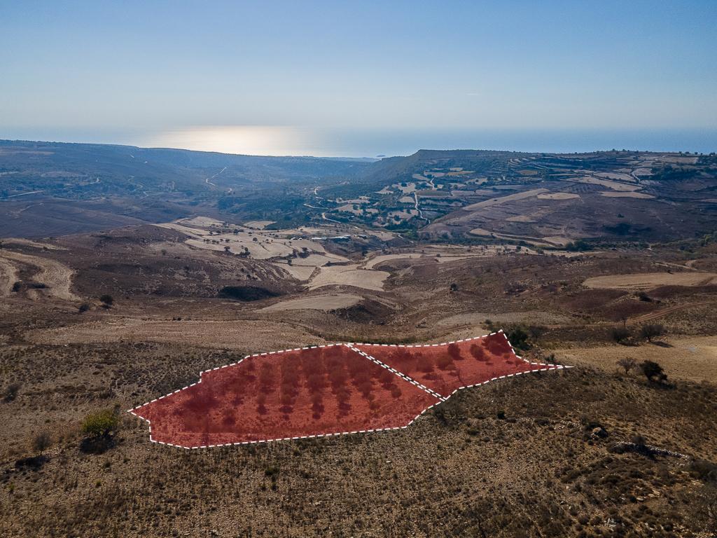 Field - Ineia, Paphos-Ineia