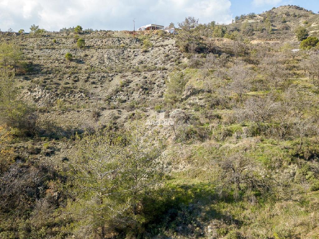 Field (Share) - Agros, Limassol-Agros