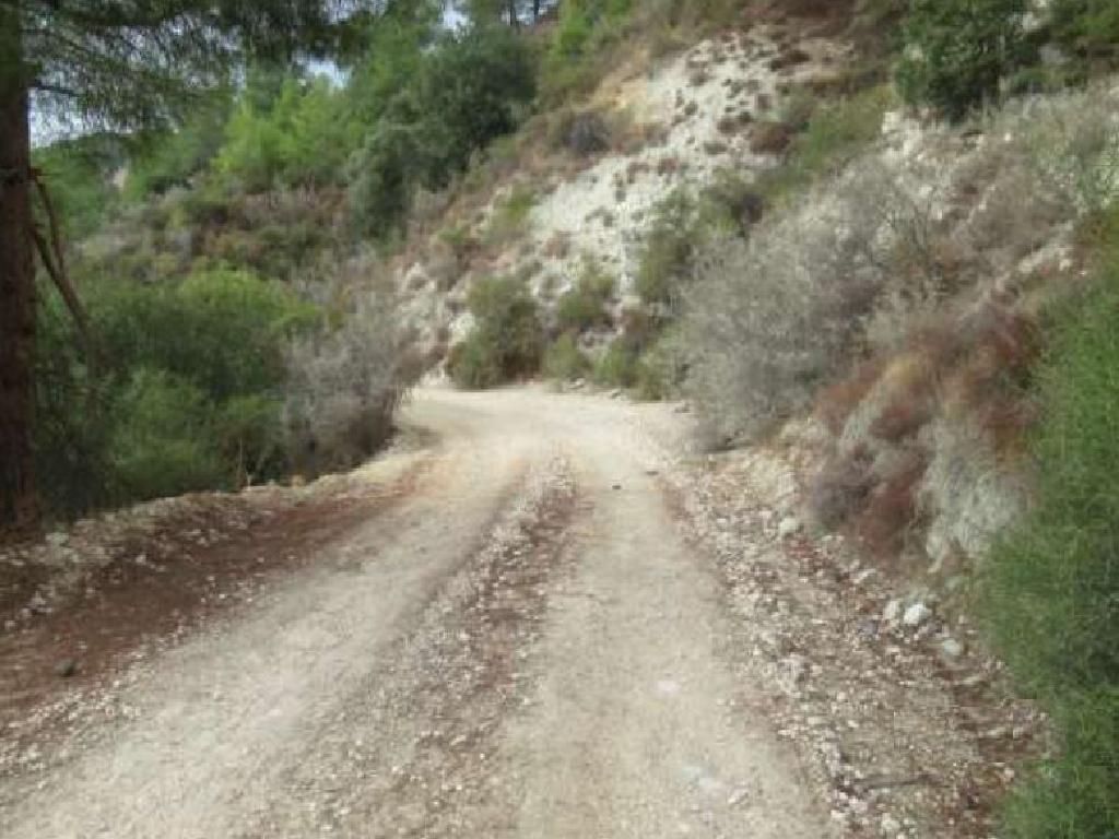 Fields - Mesana, Paphos-Mesana