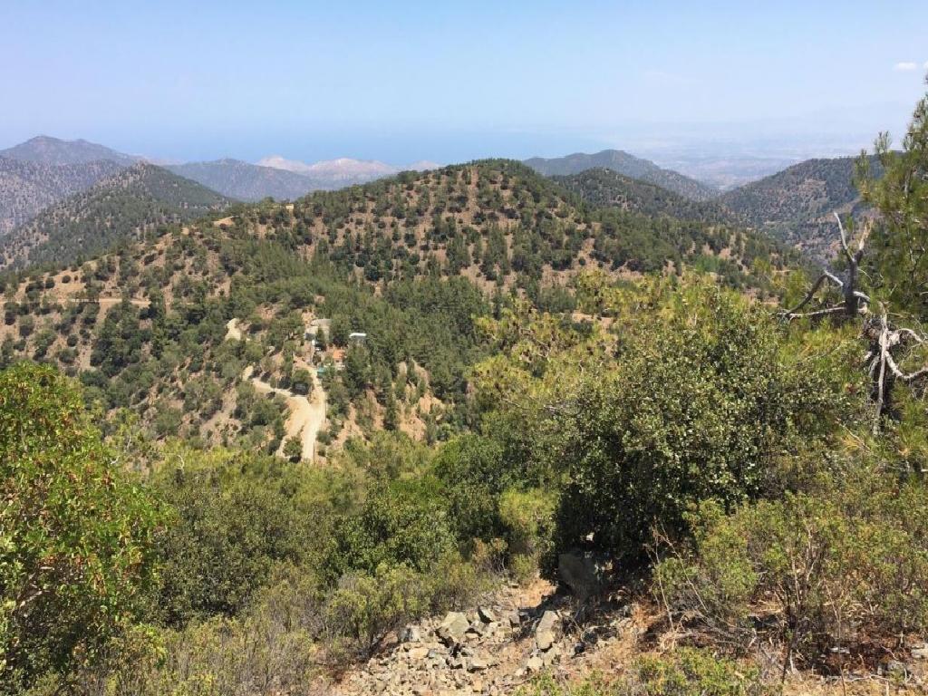 Field - Gerakies, Nicosia-Gerakies
