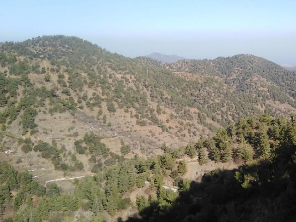 Field - Gerakies, Nicosia-Gerakies