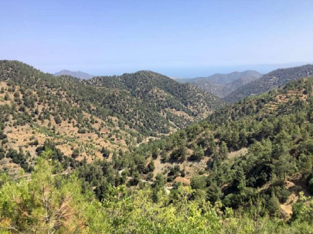 Field - Gerakies, Nicosia-Gerakies