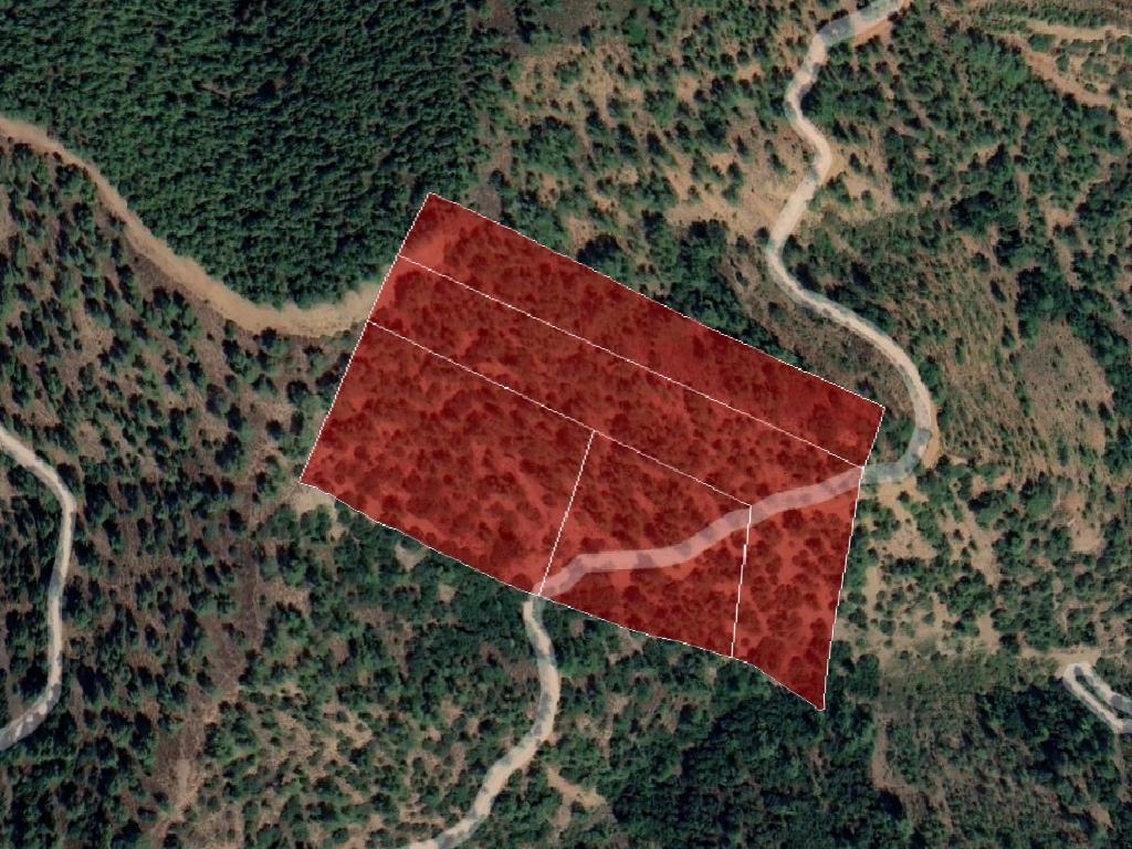 Field - Gerakies, Nicosia-Gerakies