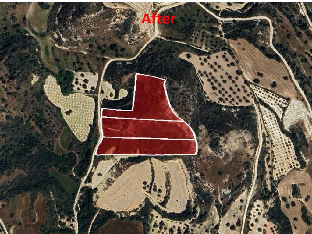 Field - Drouseia, Paphos-Drouseia