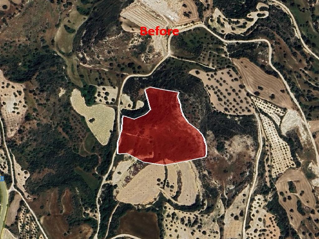 Field - Drouseia, Paphos-Drouseia