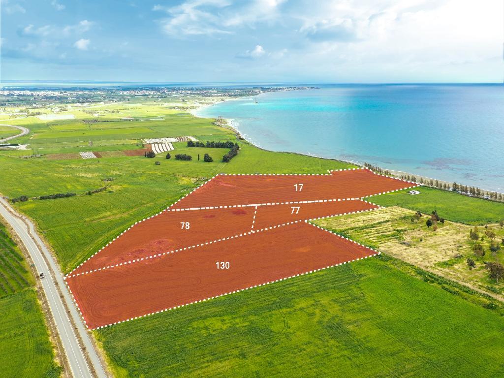 Beachfront Fields - Softades, Larnaca