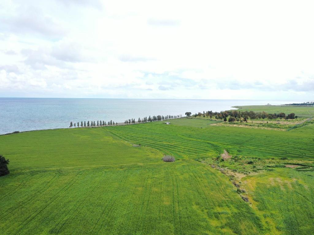 Beachfront Fields - Softades, Larnaca