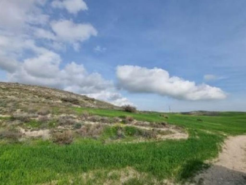 Field - Aradippou, Larnaca-Aradippou