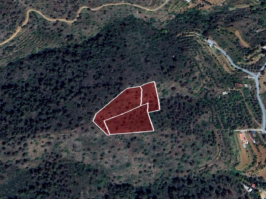 Field - Palaichori, Nicosia-Palaichori Orinis