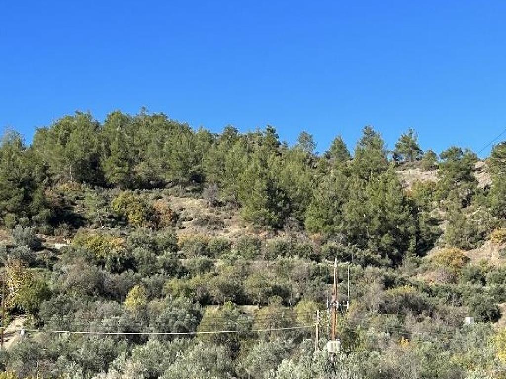 Field - Palaichori, Nicosia-Palaichori Orinis