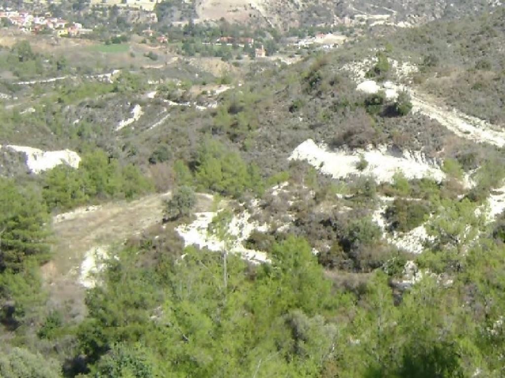 Field (Share) - Asgata, Limassol-Asgata
