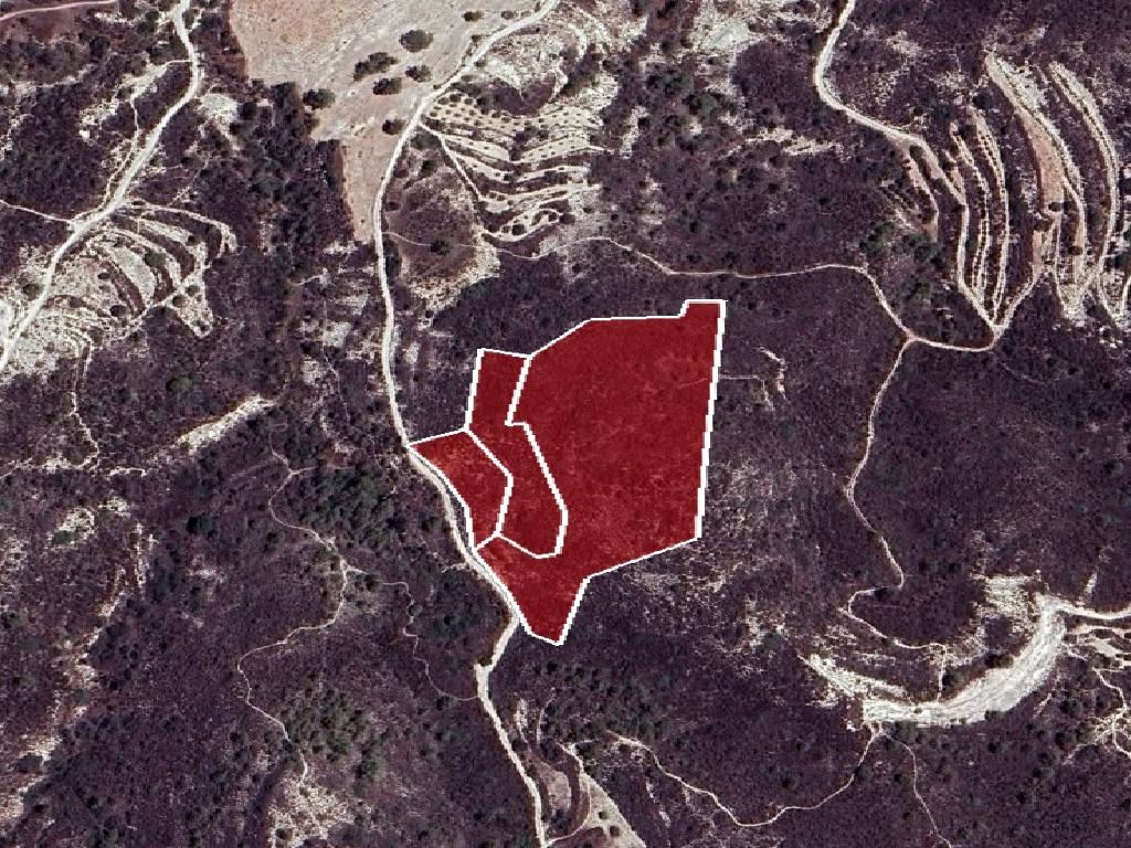 Field (Share) - Asgata, Limassol-Asgata