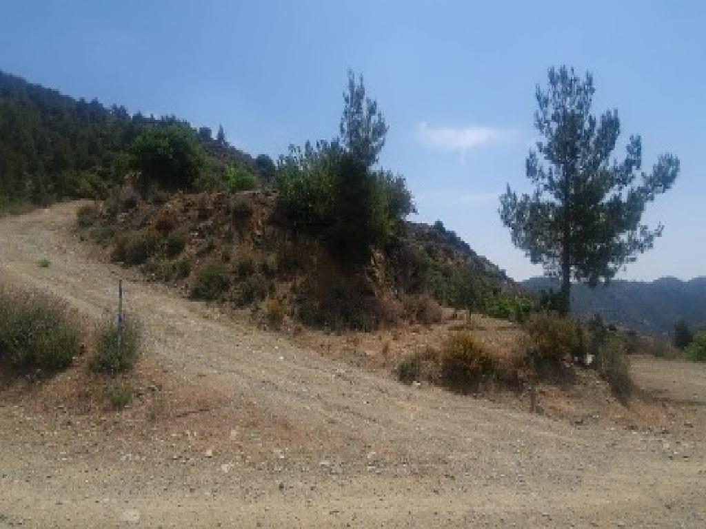 Fields (Share) - Agioi Vavatsinias, Larnaca-Agioi Vavatsinias