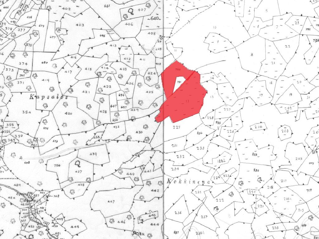 Fields (Share) - Agioi Vavatsinias, Larnaca-Agioi Vavatsinias