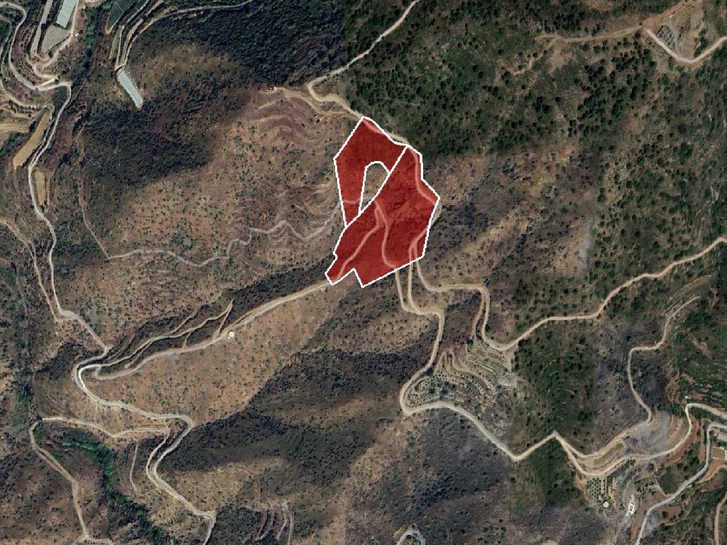 Fields (Share) - Agioi Vavatsinias, Larnaca-Agioi Vavatsinias