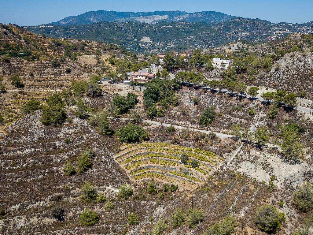 Field - Agros, Limassol-Agros