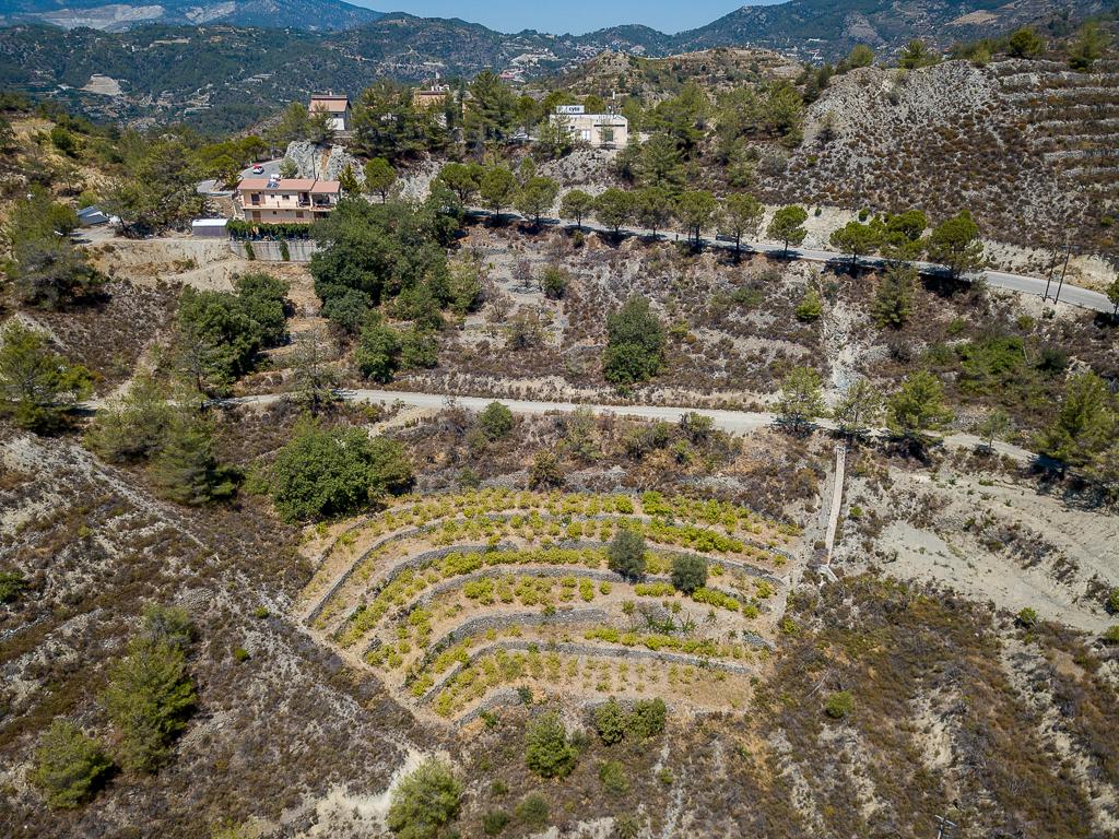 Field - Agros, Limassol-Agros