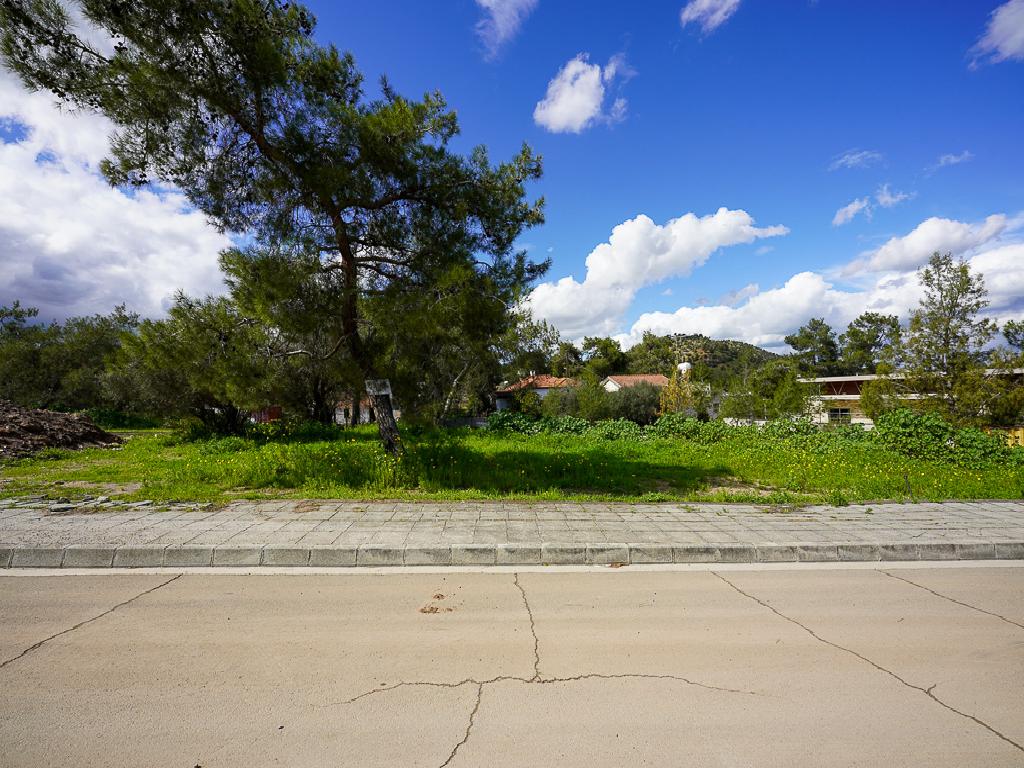 Plots - Psevdas, Larnaca-Psevdas