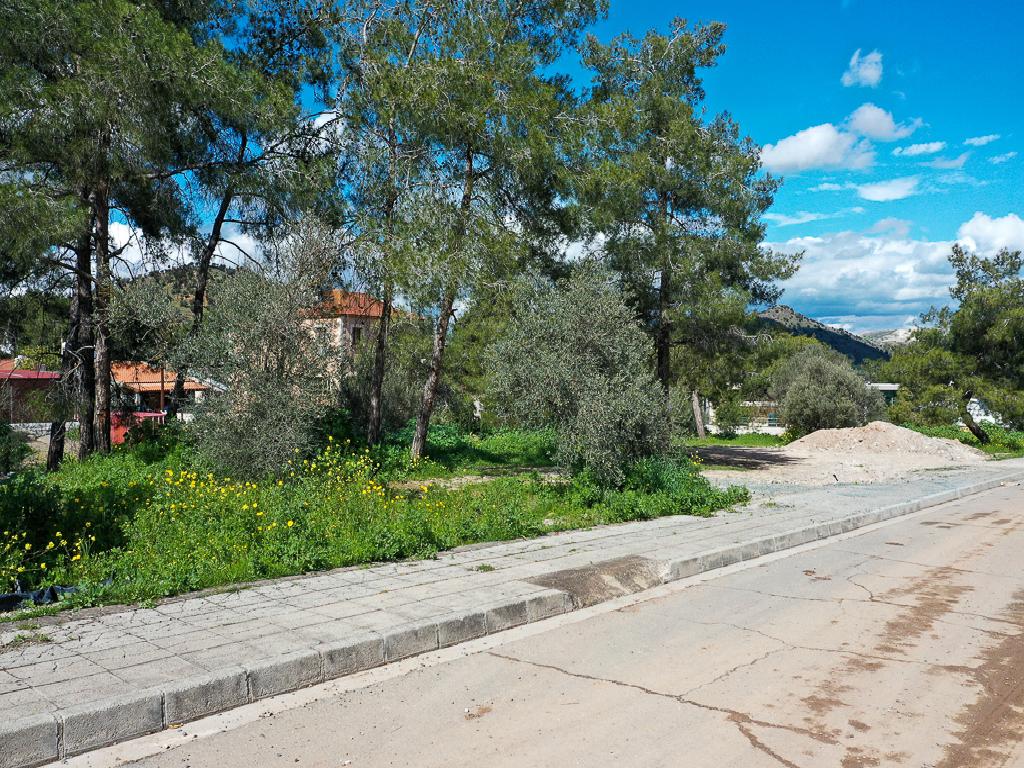 Plots - Psevdas, Larnaca-Psevdas