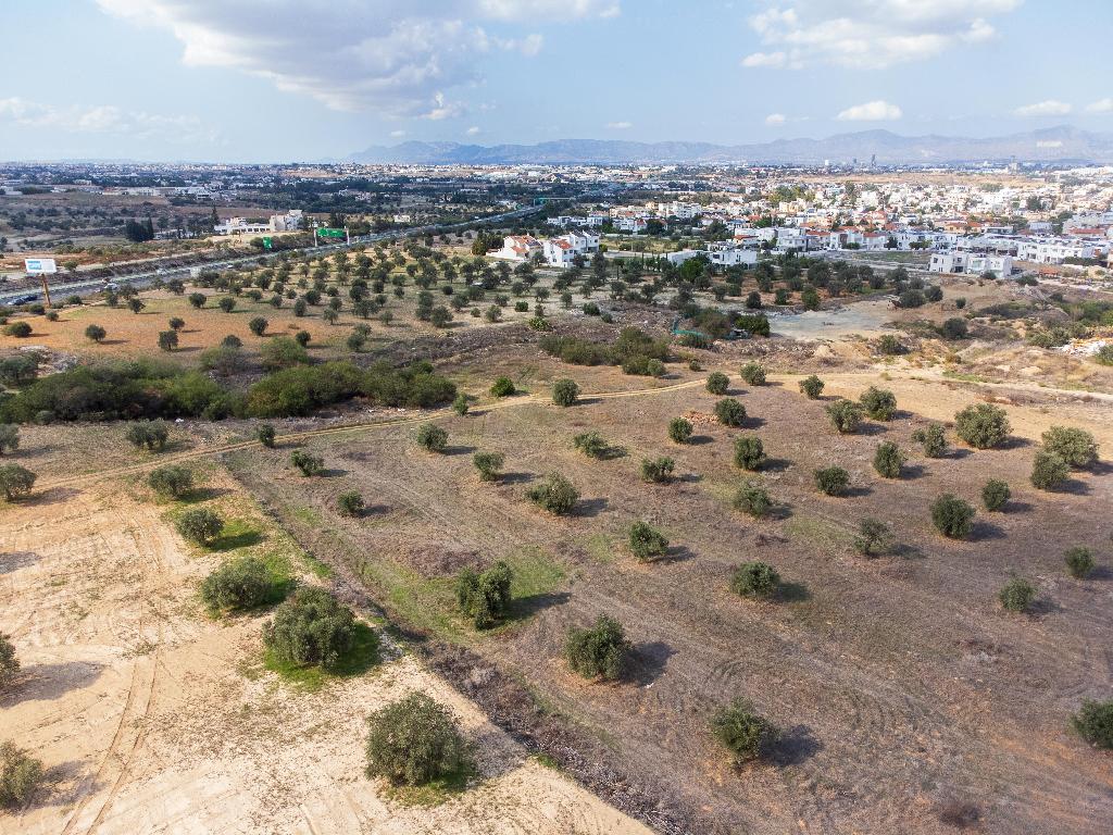 Field (Share) - Latsia, Nicosia-Latsia