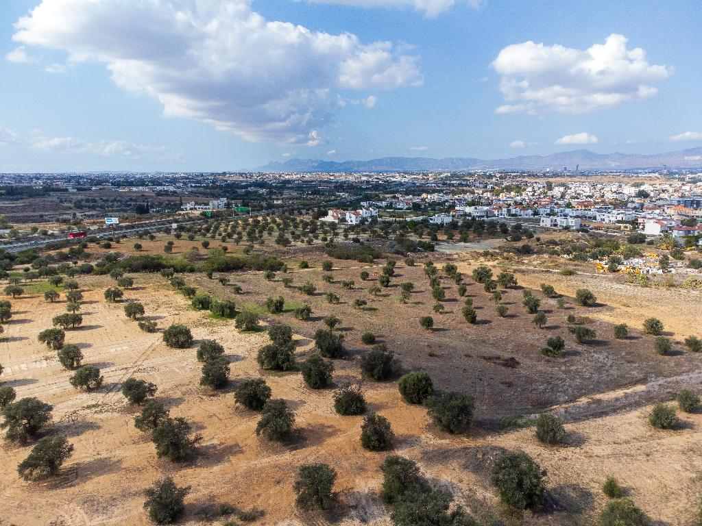 Field (Share) - Latsia, Nicosia-Latsia