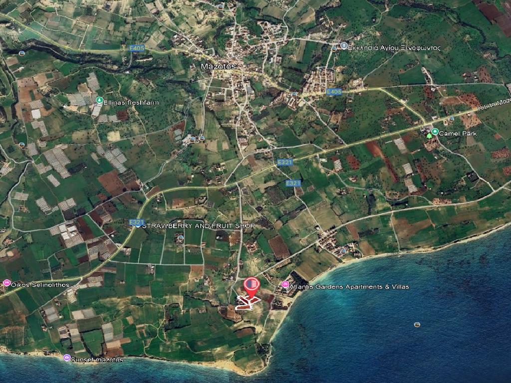 Fields (Share) - Mazotos, Larnaca-Mazotos
