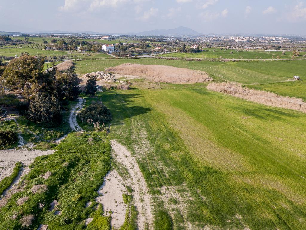Fields (Share) - Mazotos, Larnaca-Mazotos