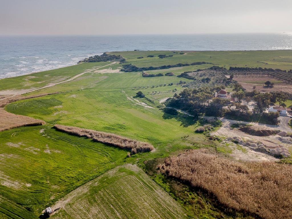 Fields (Share) - Mazotos, Larnaca-Mazotos