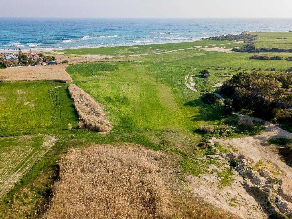 Fields (Share) - Mazotos, Larnaca-Mazotos