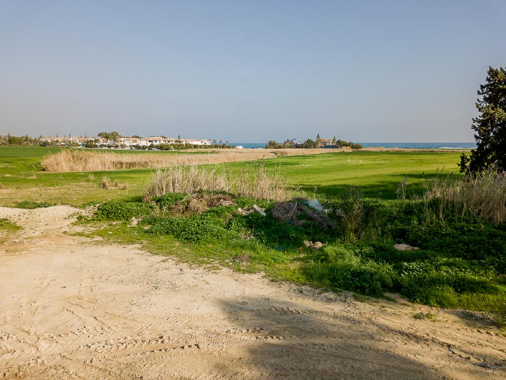 Fields (Share) - Mazotos, Larnaca-Mazotos