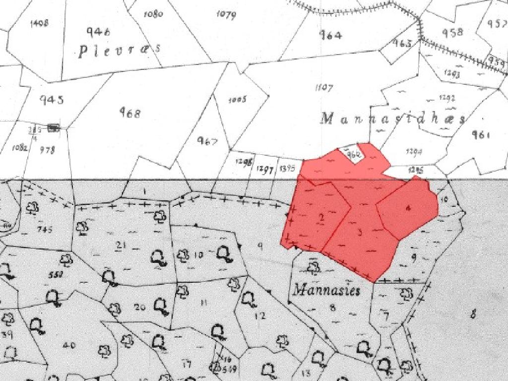 Fields - Ora, Larnaca