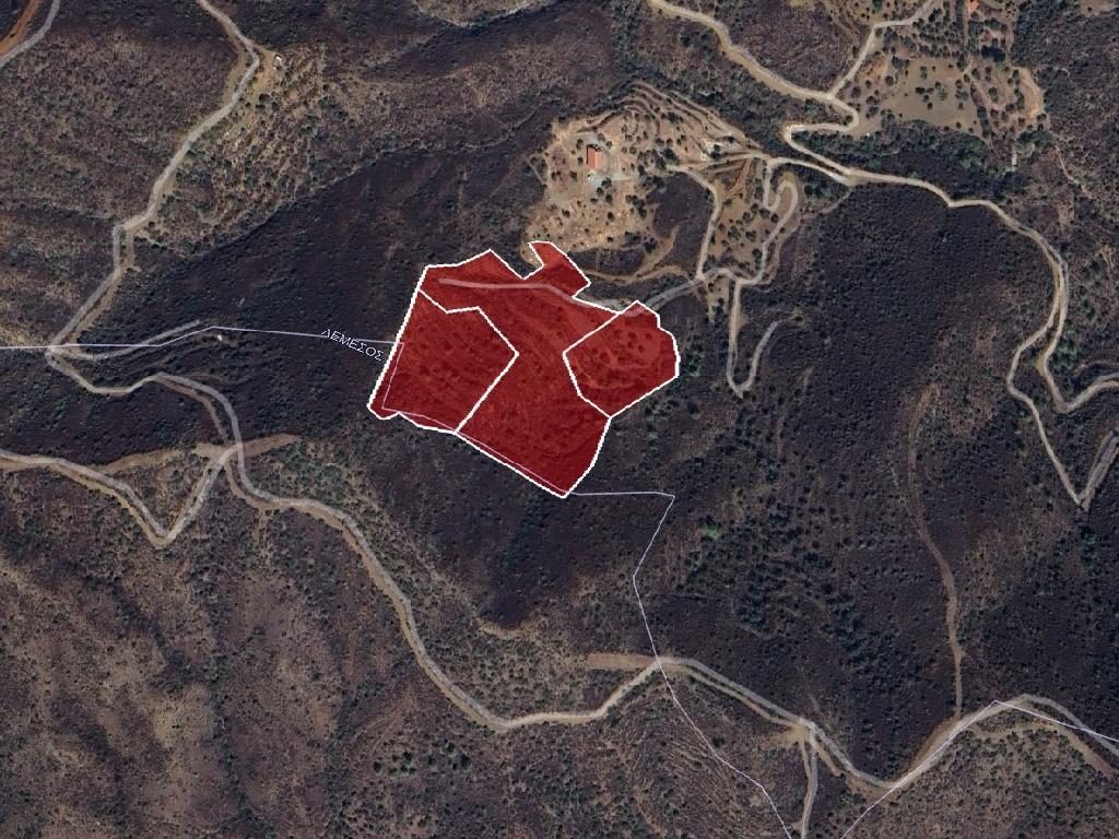 Fields - Ora, Larnaca