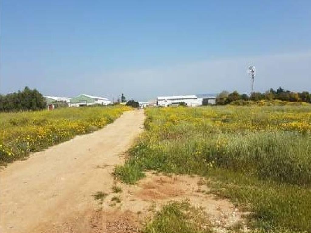 Field (Share) - Deryneia, Famagusta