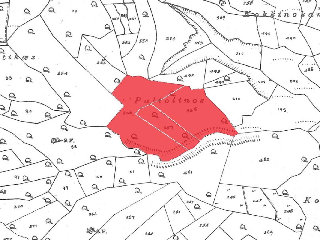 Fields (Share) - Pachna, Limassol-Pachna