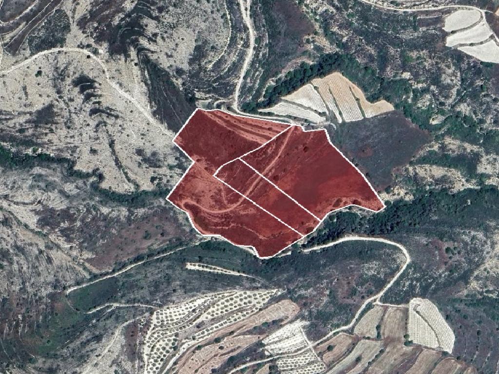 Fields (Share) - Pachna, Limassol-Pachna