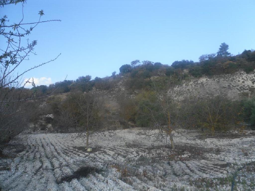 Field (Share) - Statos - Agios Fotios, Paphos-Statos - Agios Fotios