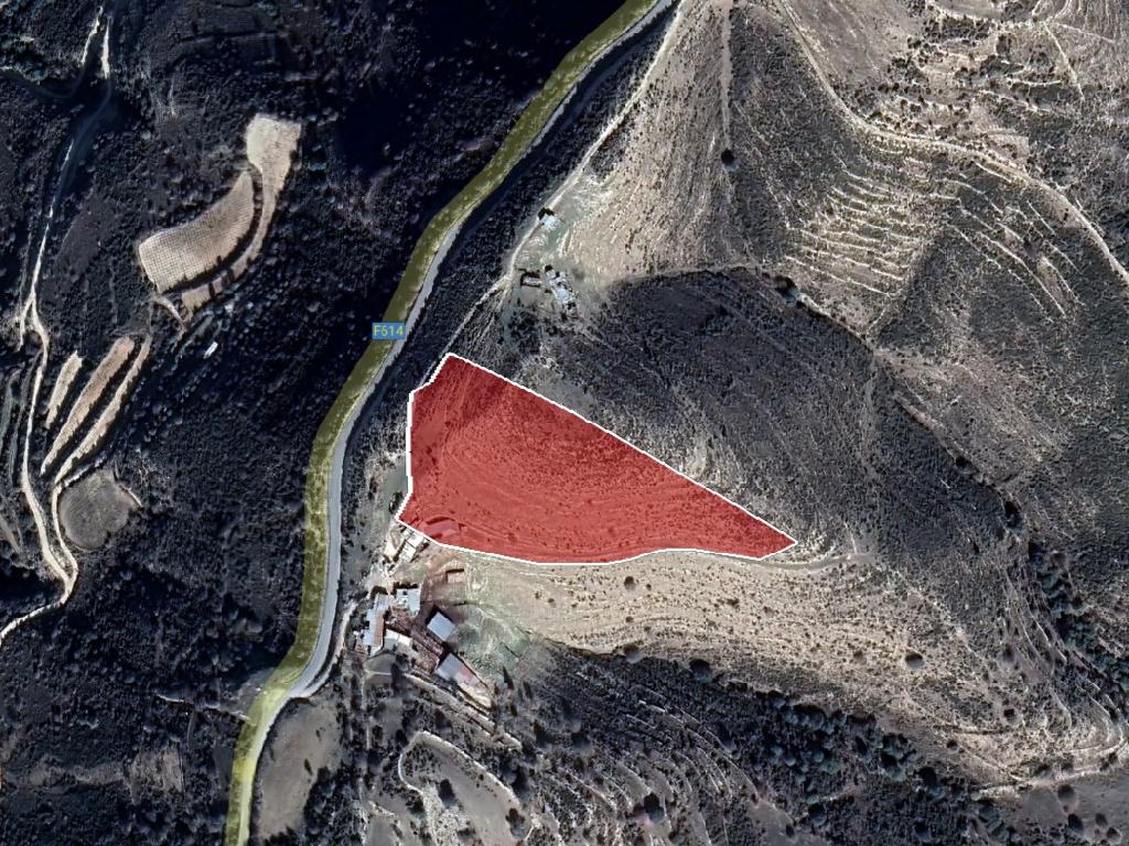 Field (Share) - Dora, Limassol-Dora