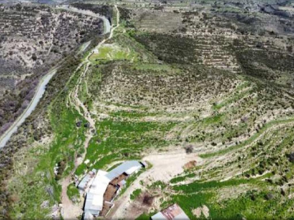 Field (Share) - Dora, Limassol-Dora